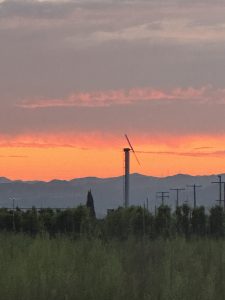 sunset